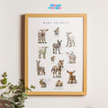 Printable Baby Animal Poster