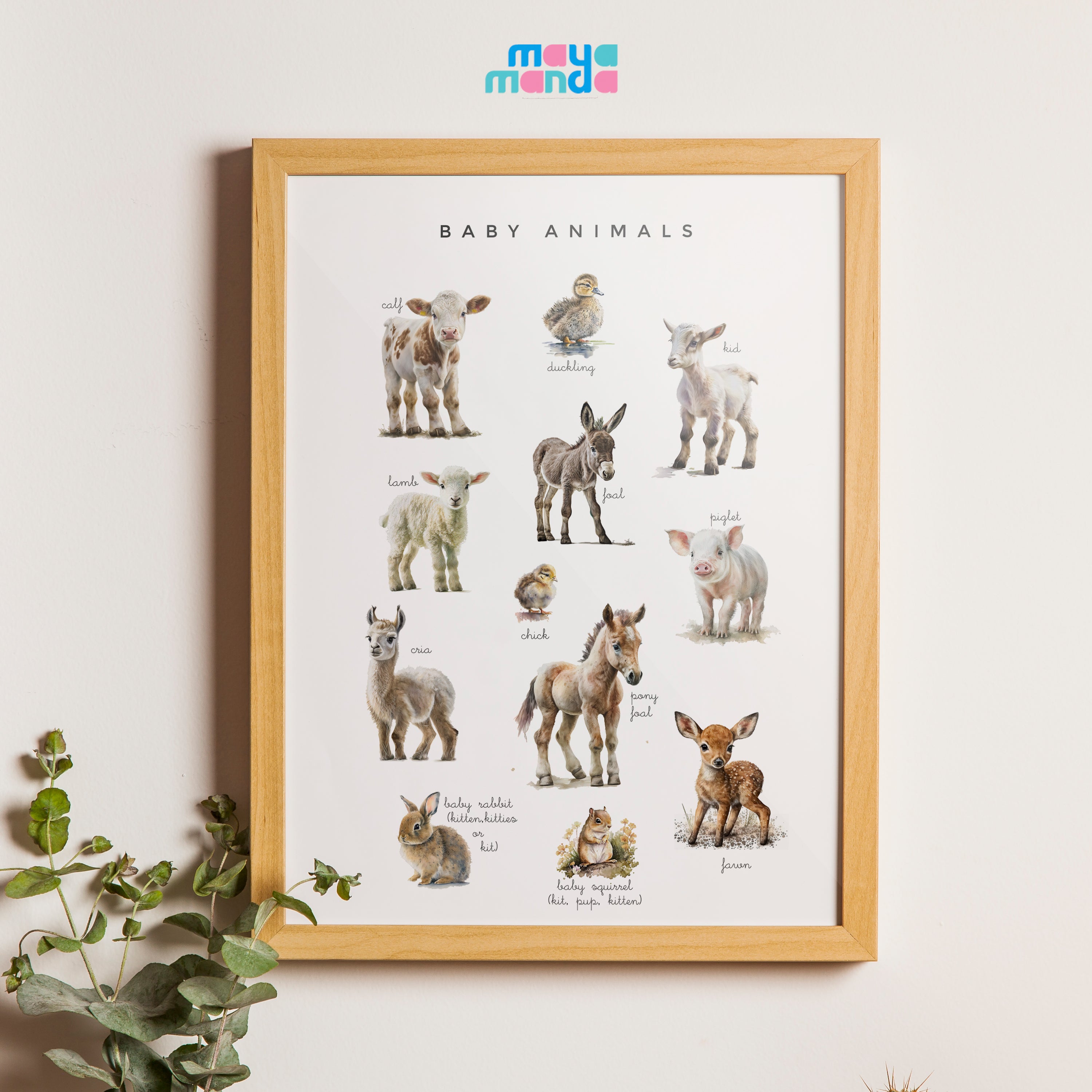 Printable Baby Animal Poster